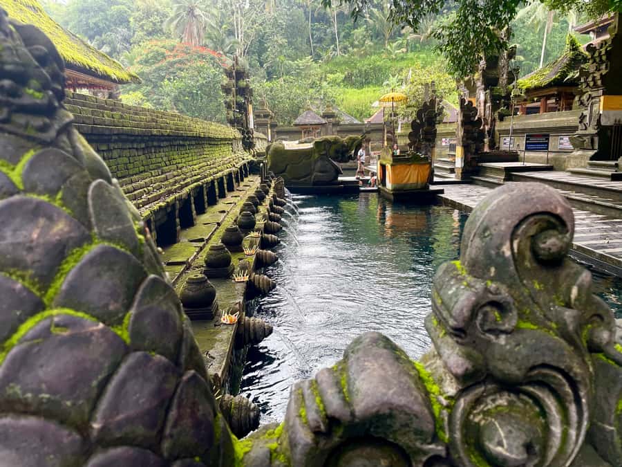 Bali: Tirta empul Temple, Rice terrace and Waterfall - Tirta Empul Temple in Manukaya: holy water purification up close