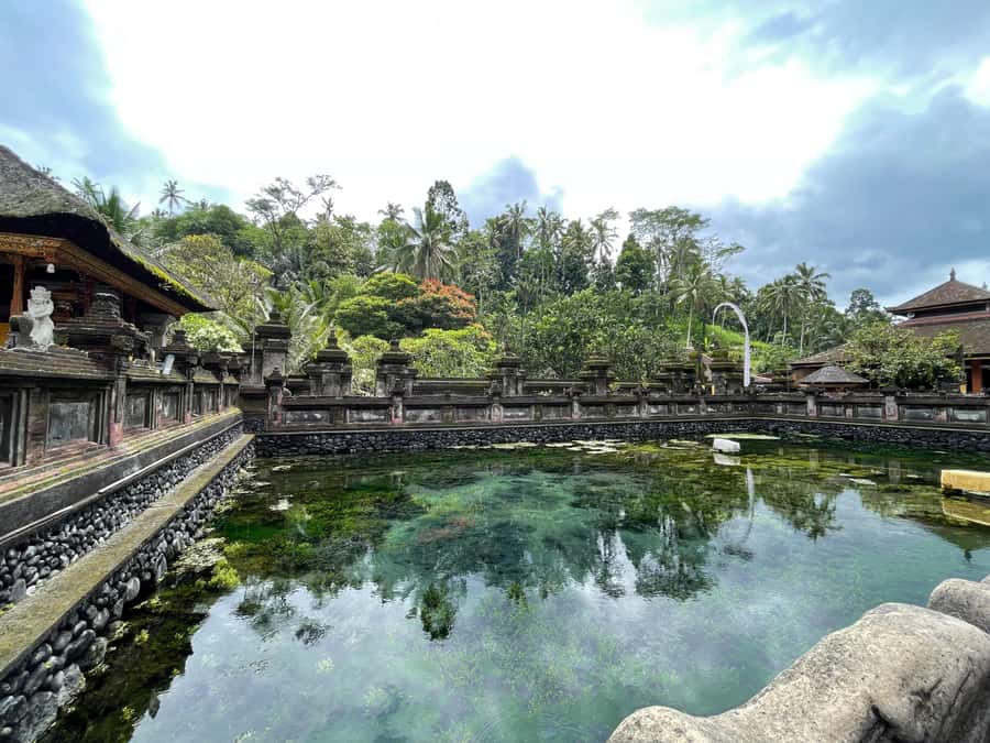 Bali: Tirta empul Temple, Rice terrace and Waterfall - Coffee plantation stop: how traditional processing shapes the taste