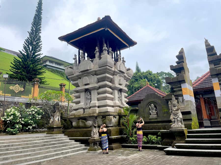 Bali: Tirta empul Temple, Rice terrace and Waterfall - Tegalalang Rice Terraces: the photo stop with real payoff