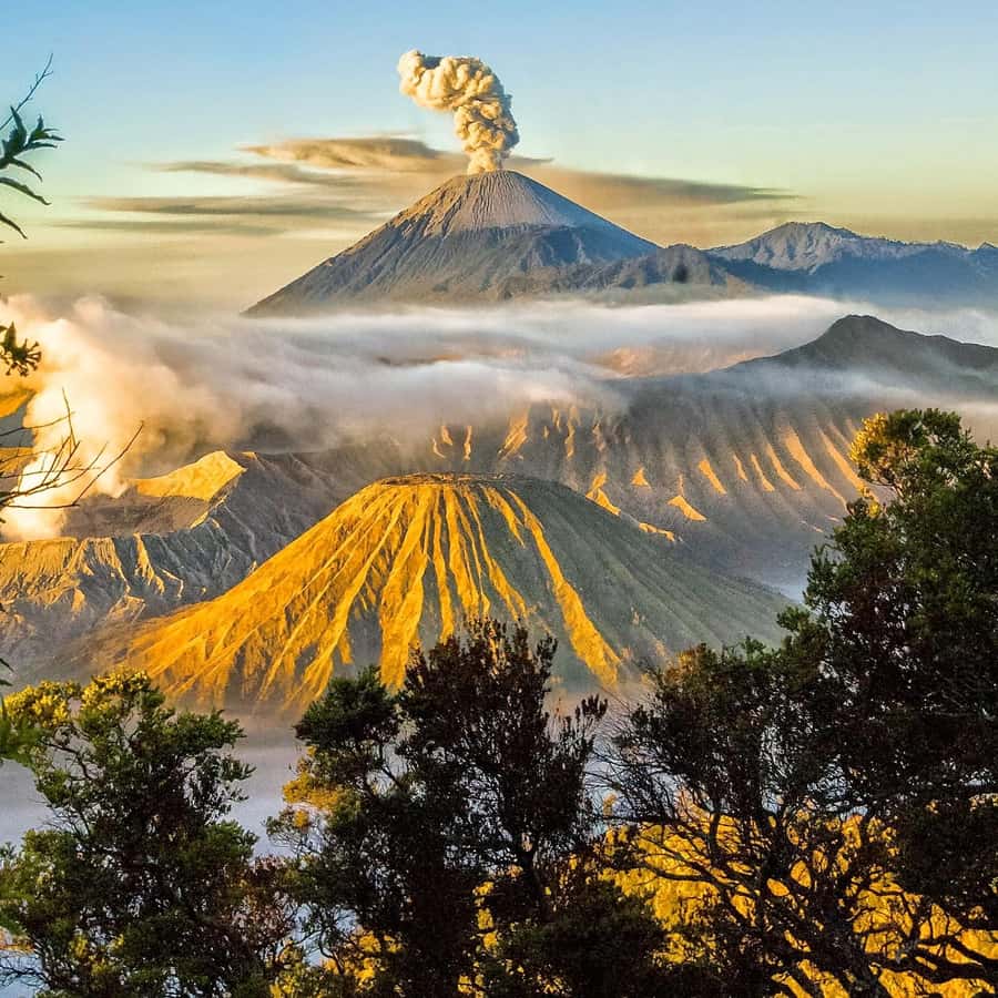 bali to java: bromo, ijen, tumpak sewu, borobudur, Prambanan - Key Things to Know Before You Go
