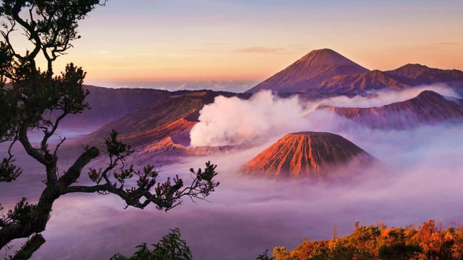 Bali to Yogya: Bromo, Ijen, Tumpak sewu, Prambanan,Borobudur - Bali to Java, a route designed for the most timing-sensitive sights