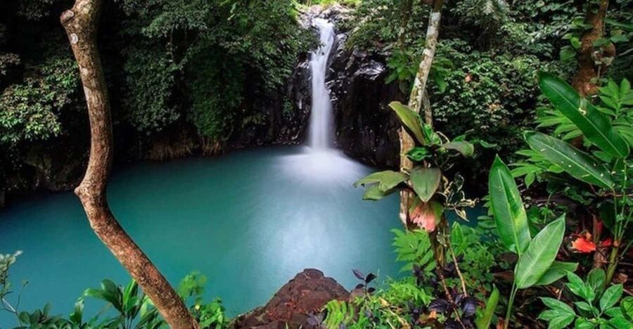 Bali: Top Highlights Private Full-Day Tour from Hotel - Price and logistics: what $21 really covers
