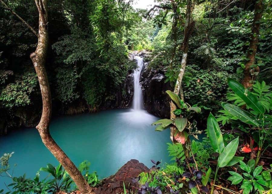 Bali: Top Highlights Private Full-Day Tour from Hotel - Why this Bali full day tour is such a practical win
