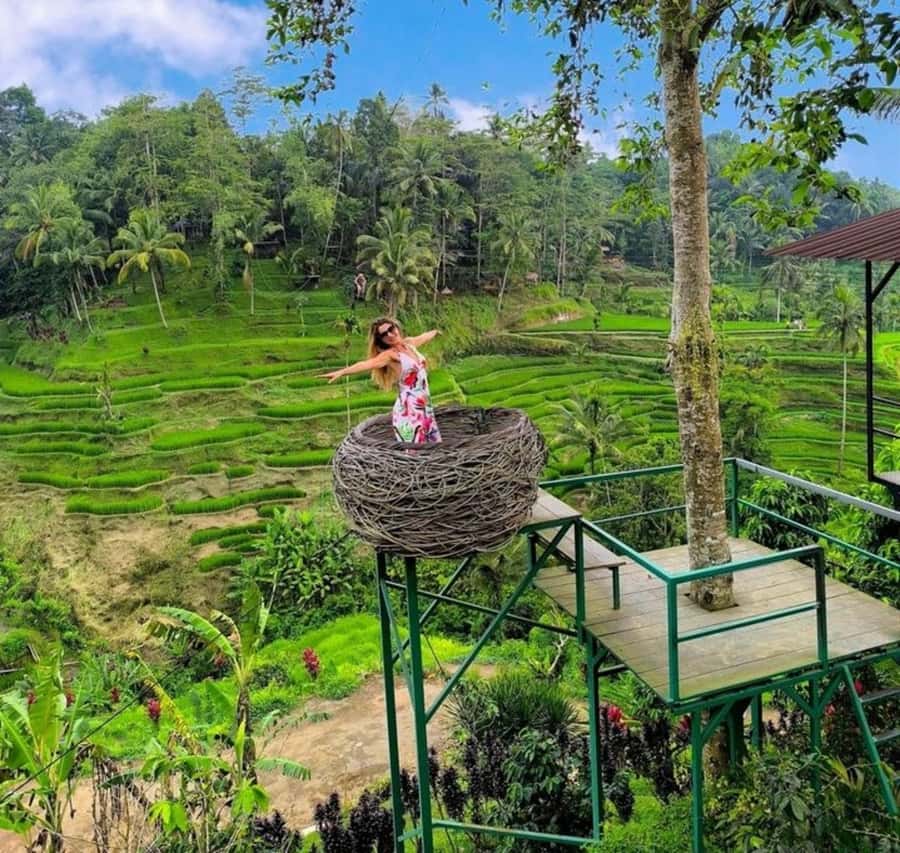 Bali: Top Highlights Private Full-Day Tour from Hotel - U Fun Field: start with momentum, then decide your adventure level
