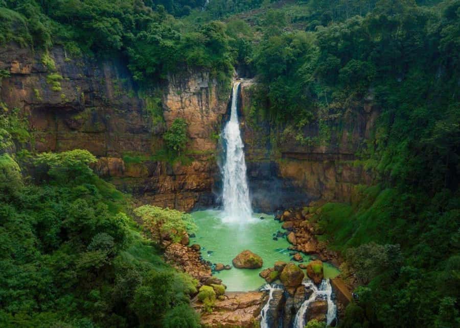 Bali: Top Highlights Private Full-Day Tour from Hotel - Tegalalang Rice Terraces: the classic views, with context