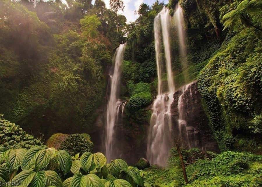 Bali: Top Highlights Private Full-Day Tour from Hotel - Ubud Art Market and optional silver crafts