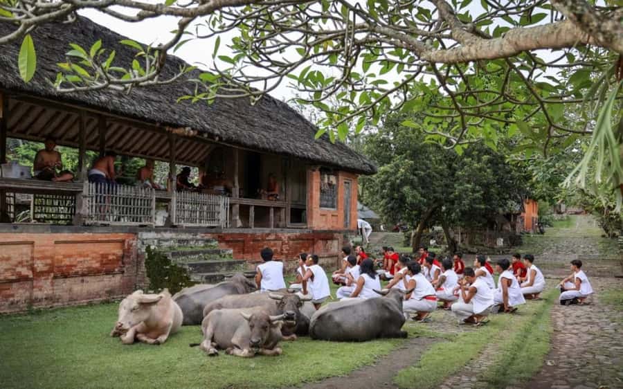 Bali: Traditional Villages, Salt Farm & Tirta Gangga Tour - Sidemen Village walk: daily life, village pace, and easy photo moments