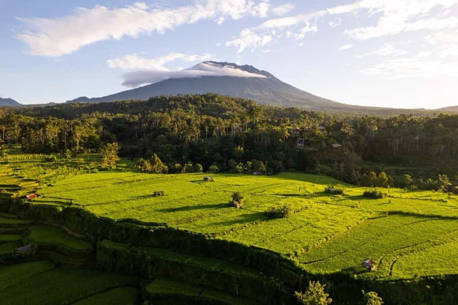 Bali: Traditional Villages, Salt Farm & Tirta Gangga Tour - Tenganan Village: seeing how traditions keep shaping everyday life