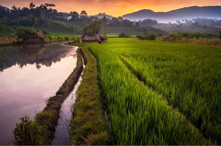 Bali: Traditional Villages, Salt Farm & Tirta Gangga Tour - Kusamba salt farm: outdoors work, traditional methods, and sandy terrain
