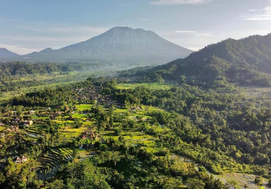 Bali: Traditional Villages, Salt Farm & Tirta Gangga Tour - How the day actually runs: timing, pickups, transport, and pacing for value