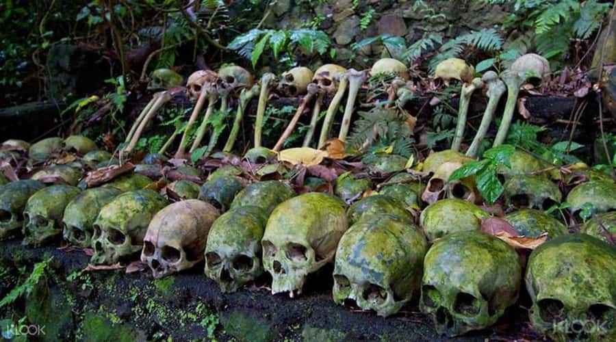 Bali: Trunyan Cemetery, Hot Springs, and Penglipuran Village - Key highlights you will actually feel
