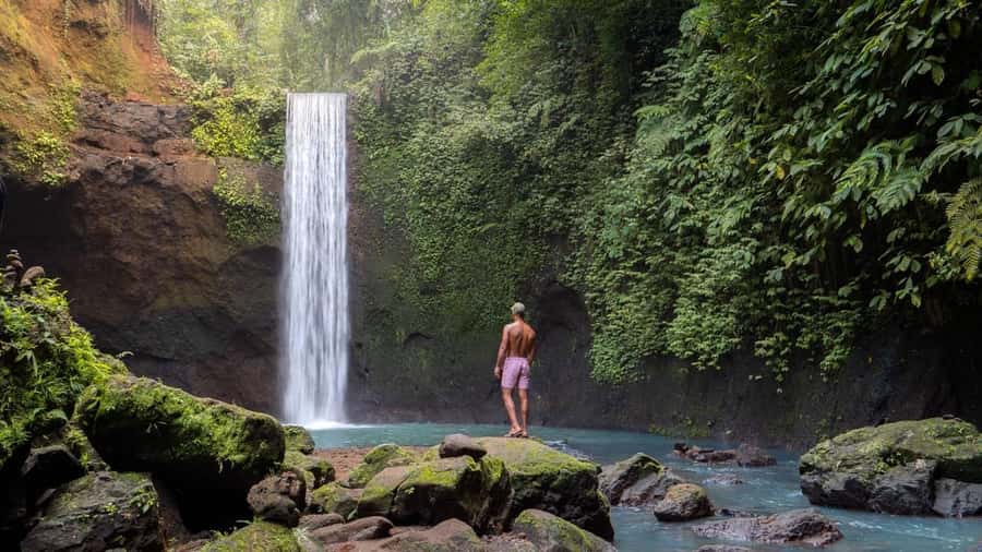 Bali: Trunyan Cemetery, Hot Springs, and Penglipuran Village - Penglipuran Village, well-preserved layout and community harmony