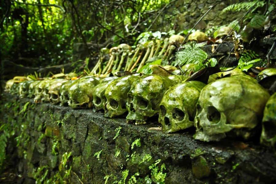 Bali: Trunyan Cemetery, Hot Springs, and Penglipuran Village - Entering Trunyan Cemetery, Bali Aga funeral customs in a ravine