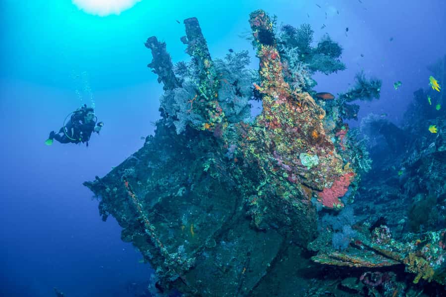 Bali: Tulamben Bay and the USAT Liberty Wreck Dive - Key things you’ll notice