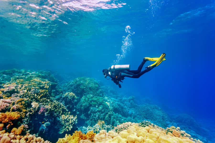 Bali: Tulamben Bay Beginner's Dive Experience - Tulamben Bay and the USAT Liberty wreck: why this is a smart first step