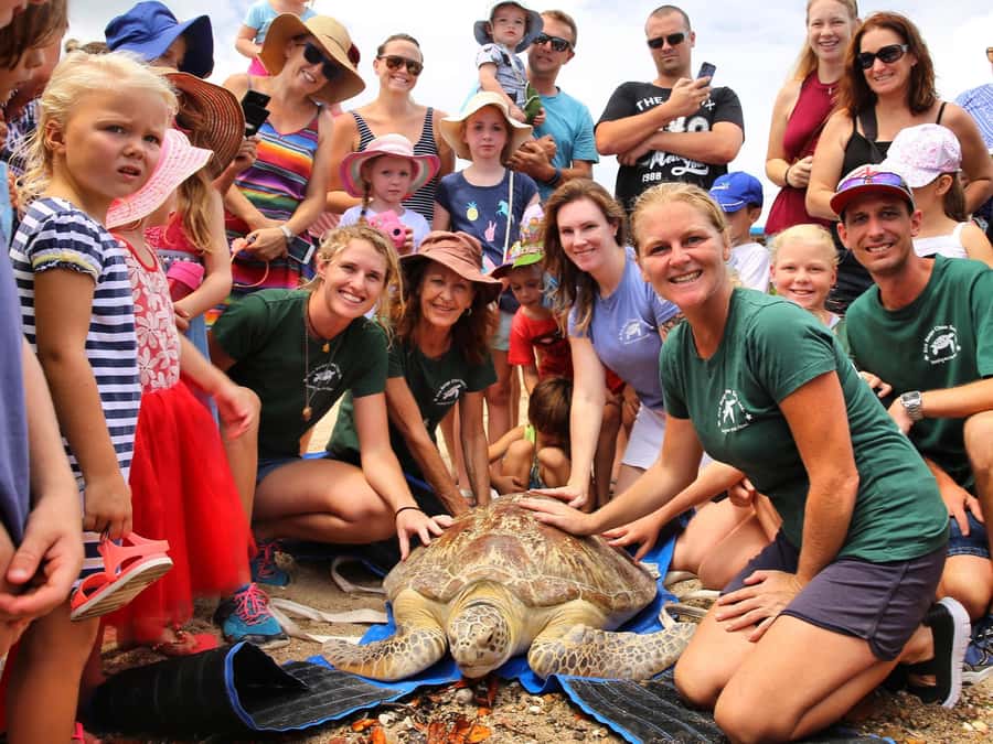 Bali: Turtle Conservation and Education Tour & Local Market - Pickup and timing: know the areas and why 6 hours is tight but workable