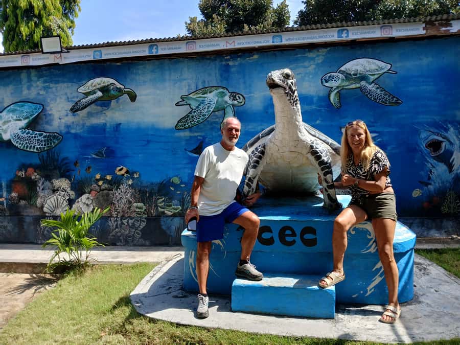 Bali: Turtle Conservation and Education Tour & Local Market - What to bring, what to wear, and how to shop like you mean it