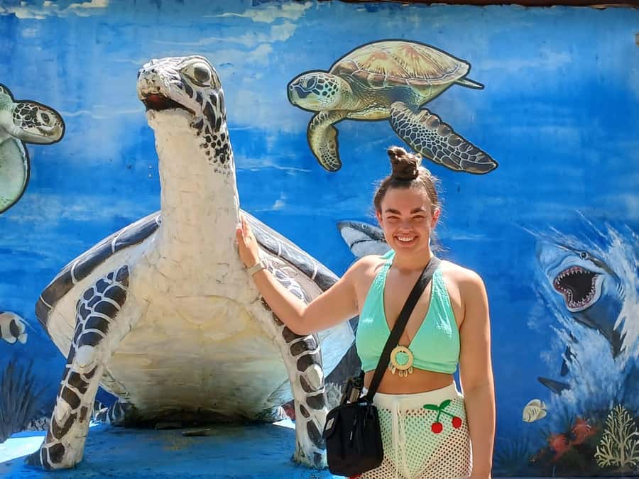Bali: Turtle Conservation and Education Tour & Local Market - Who this tour suits best (and who might want a different plan)