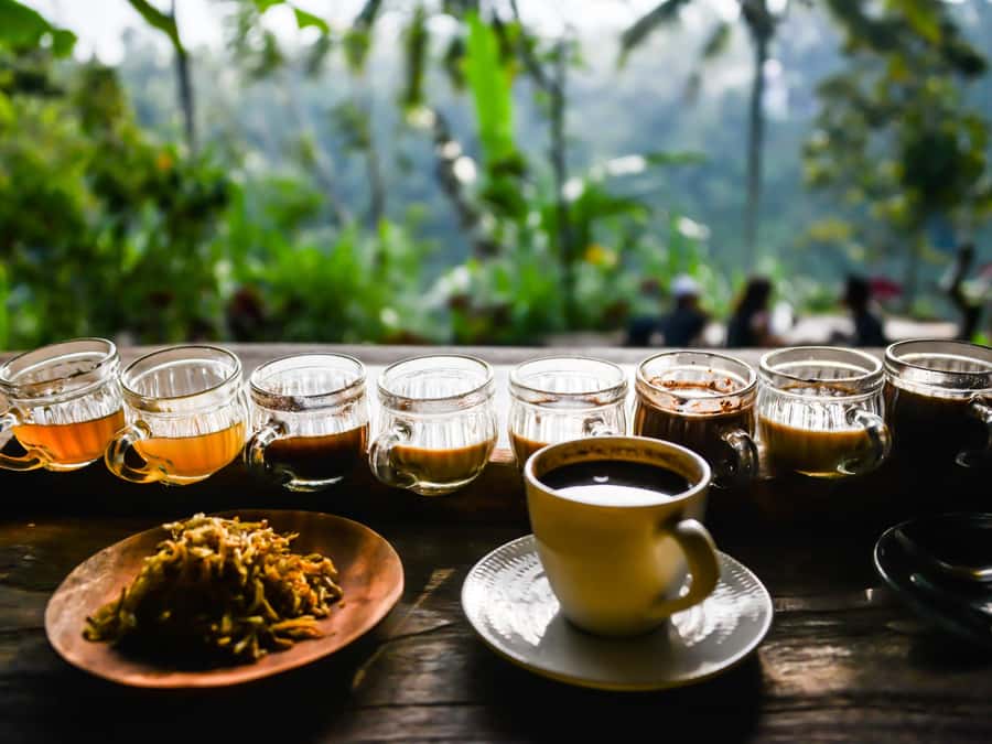Bali: Ubud Adventure, ATV, Monkey Forest& Waterfall Tour - Tegenungan Waterfall: swim time and the simple joy of slowing down