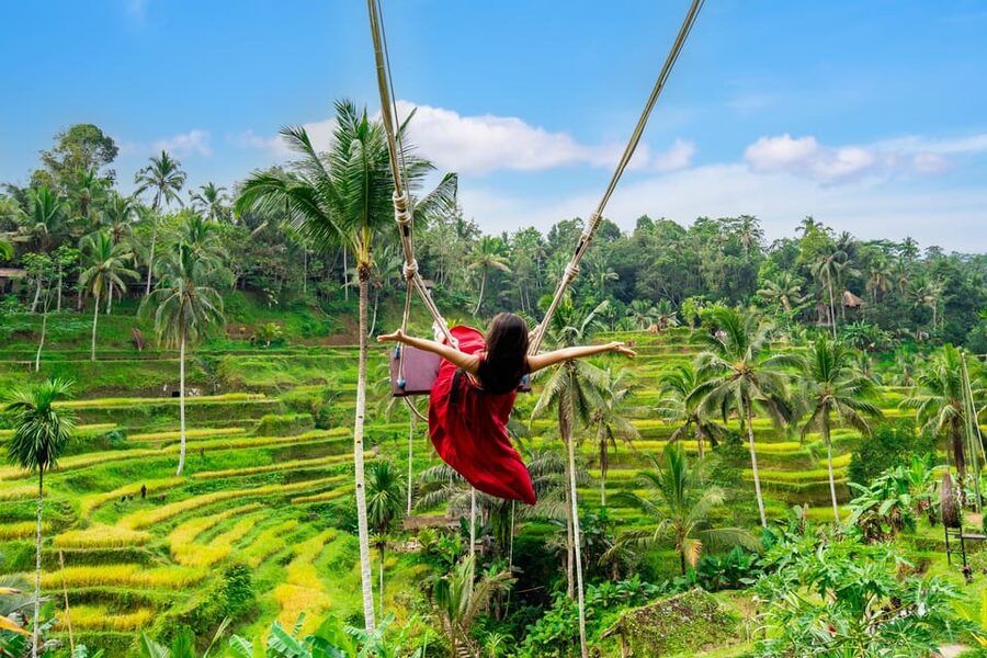 Bali: Ubud and Kintamani Viewpoint Opt. Swing & Buffet Lunch - Tegenungan Waterfall: green forest scenery with a natural rhythm