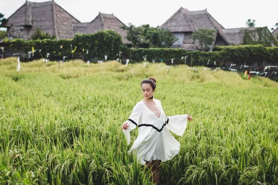 Bali: Ubud and Tanah Lot Small Group Guided Tour - Ubud Monkey Forest: sacred woodland plus mischievous rules