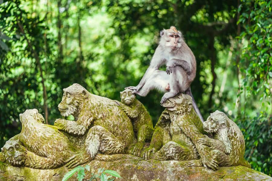 Bali: Ubud and Tanah Lot Small Group Guided Tour - Kumulilir photo stop: a guided pause for the camera and the views