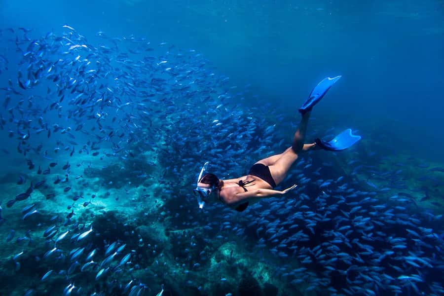 Bali: Ubud ATV and Blue Lagoon Snorkeling Tour with Lunch - Key Things I’d Highlight Before You Go