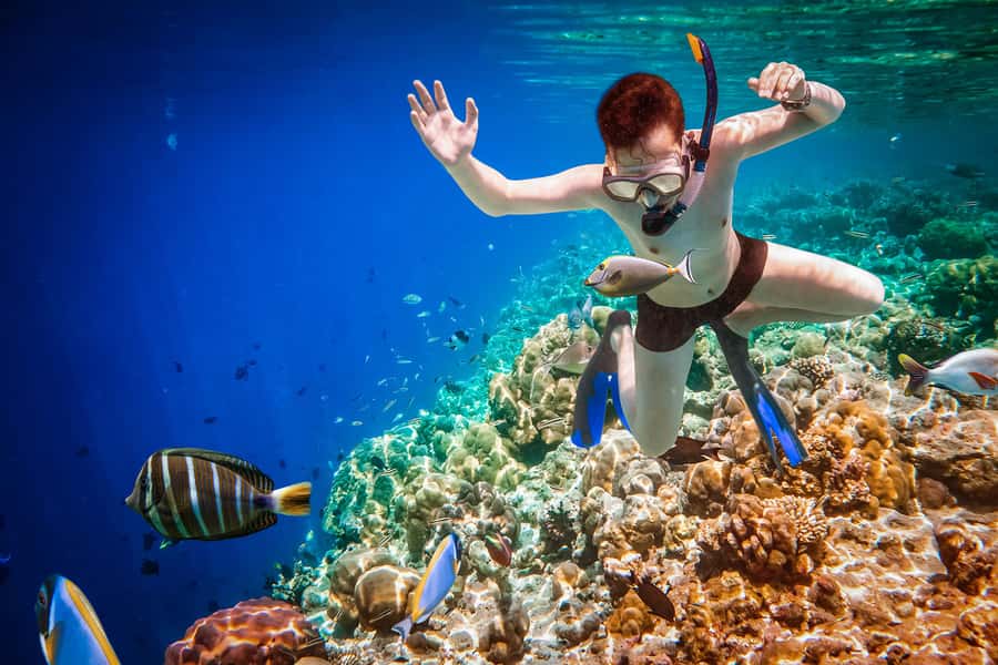 Bali: Ubud ATV and Blue Lagoon Snorkeling Tour with Lunch - From Your Hotel to Silakarang: Why the Ubud ATV Part Feels Like Real Bali