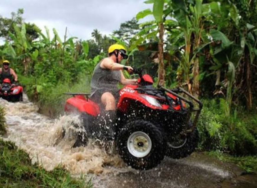 Bali: Ubud ATV and Blue Lagoon Snorkeling Tour with Lunch - Lunch in Between: Fueling Up for Blue Lagoon and Tanjung Jepun