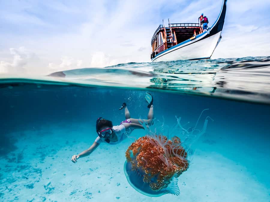 Bali: Ubud ATV and Blue Lagoon Snorkeling Tour with Lunch - What the ATV Ride Actually Does for Your Day (Besides Getting You Dirty)