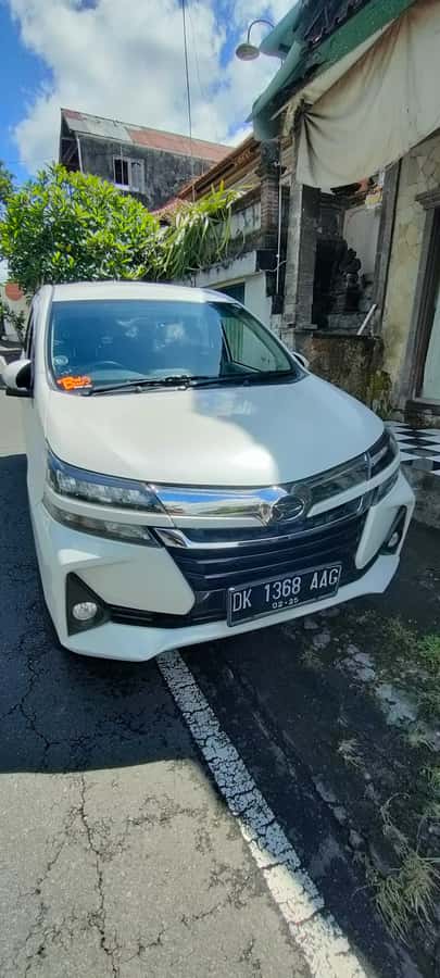 Bali: ubud costumize tour with private driver - Aloha Ubud Swing: The Photo Stop That Still Needs Time