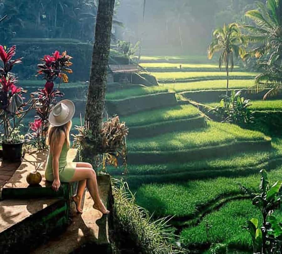 Bali: Ubud Day Tour with Swing and Zipline - Tegallalang Rice Terrace: how to enjoy the views without rushing