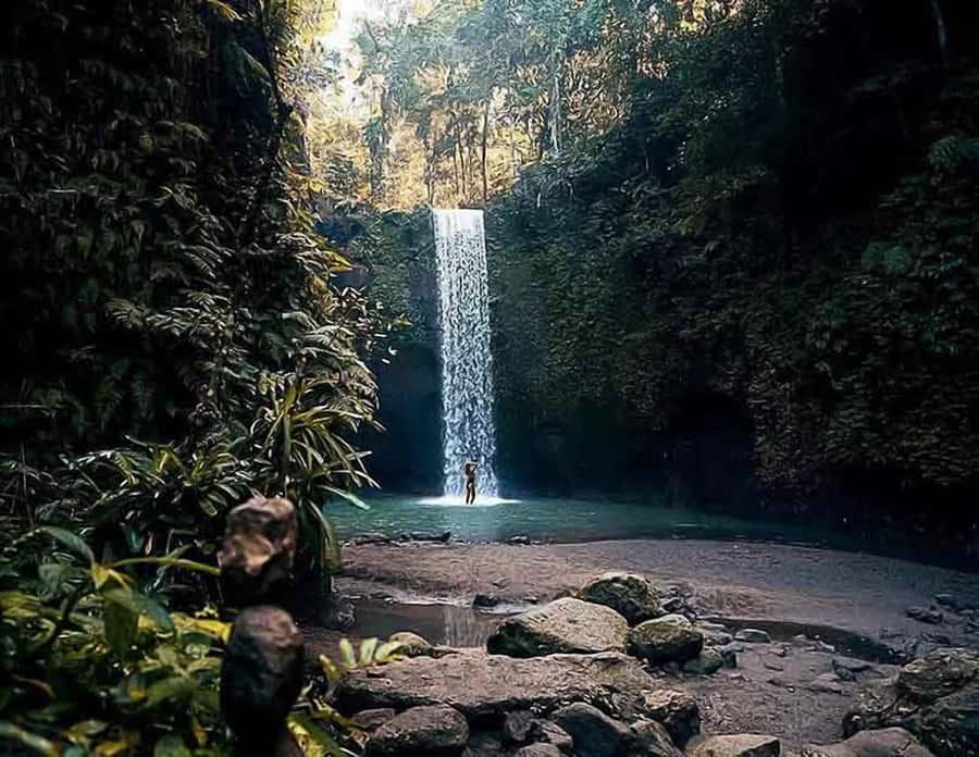 Bali: Ubud Day Tour with Swing and Zipline - Price and logistics: what $30 really covers