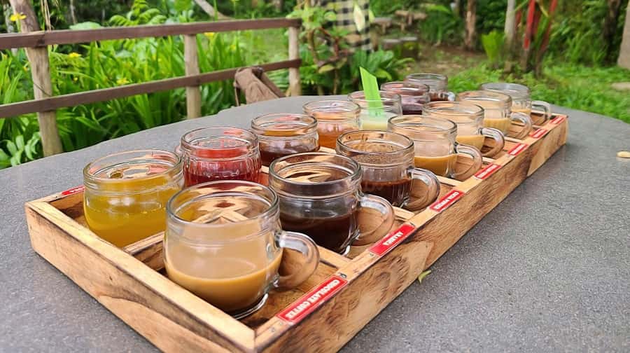 Bali: Ubud Day Tour with Swing and Zipline - Who this tour suits best, and who might want a different plan