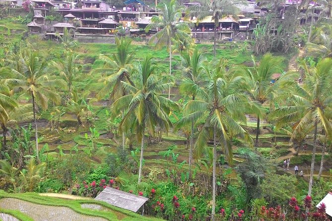 Bali Ubud & Kintamani Volcano Tour -All Inclusive - What all-inclusive covers, and why that matters for value