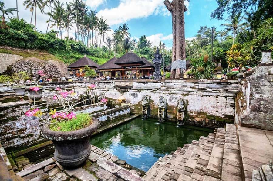 Bali: Ubud, Monkey Forest, Ancient Temple, Waterfalls - Ubud first, so the day doesn’t waste daylight