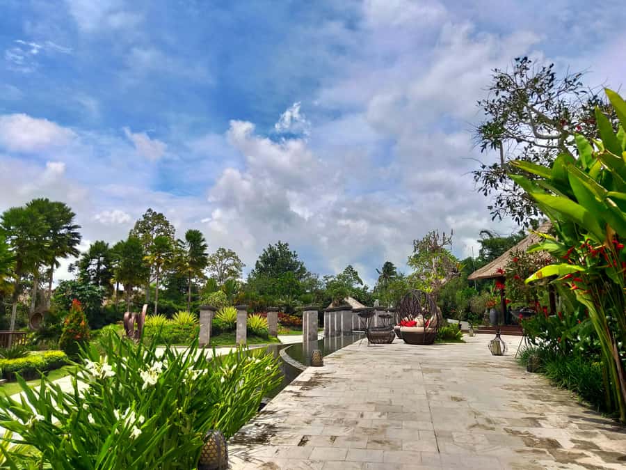 Bali: Ubud, Monkey Forest, Ancient Temple, Waterfalls - Coffee tasting at Satria Agrowisata, including Luwak