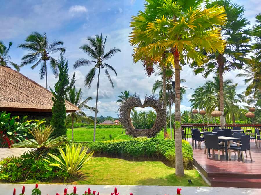 Bali: Ubud, Monkey Forest, Ancient Temple, Waterfalls - Swing Heaven: the big moment, but rides can cost extra