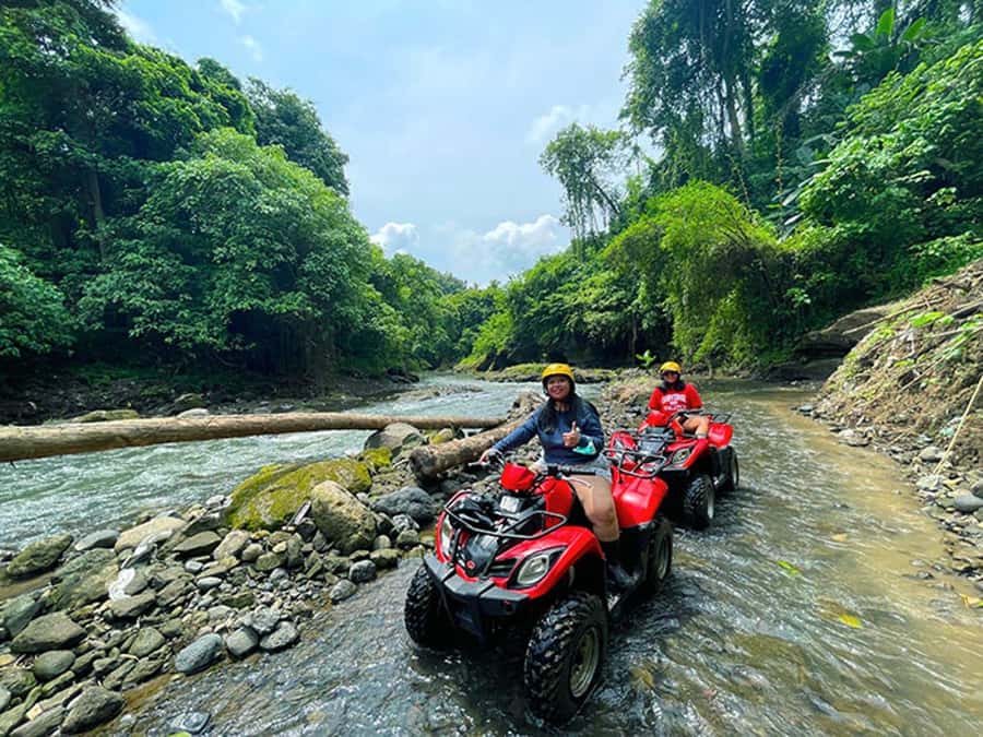 Bali: Ubud, Monkey Forest, Ancient Temple, Waterfalls - Price and value: what you get for about $36