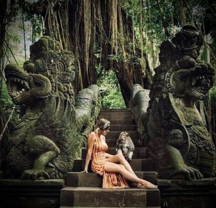Bali: Ubud Monkey Forest, Coffee Plantation, and Market Tour - Coffee, tea, and swings at Satria Agrowisata