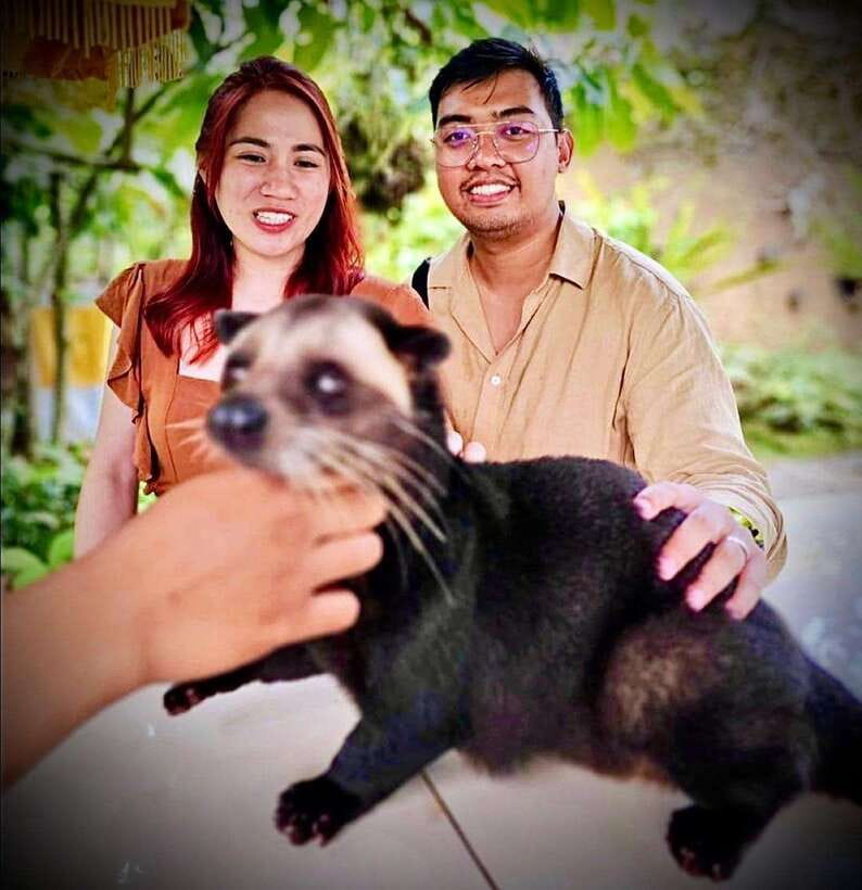 Bali: Ubud Monkey Forest, Coffee Plantation, and Market Tour - Price and value for $42: what you pay for, what you skip