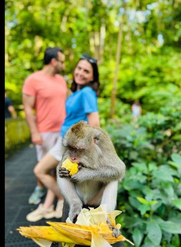 Bali: Ubud Monkey Forest, Coffee Plantation, and Market Tour - What to do in the heat: comfort tips that make this day better