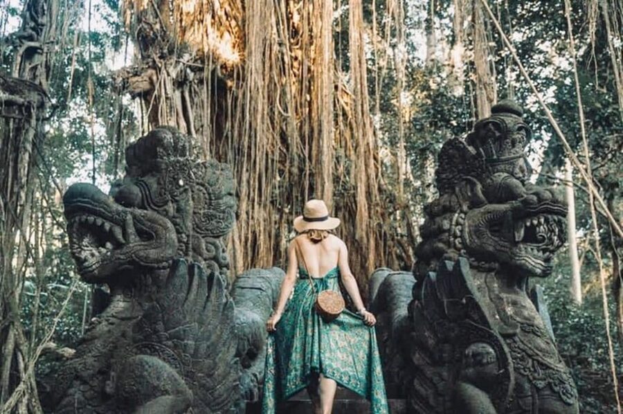 Bali: Ubud Monkey Forest, Waterfall, and Rice Terrace Tour - The Flex Stops: Art Village Options and Extra Time Decisions