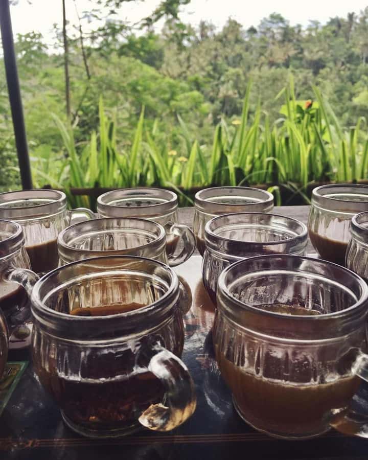 Bali ubud : monkey forest, waterfall , temple - Key Highlights at a Glance