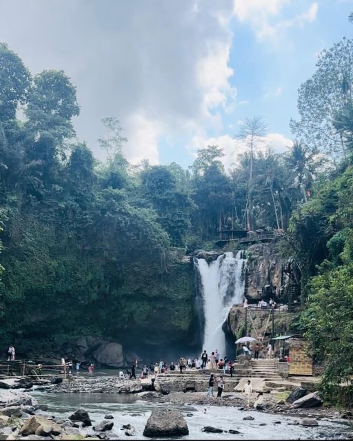 Bali ubud : monkey forest, waterfall , temple - Tegalalang Rice Terrace, Coconut Plants, and a Swing Break