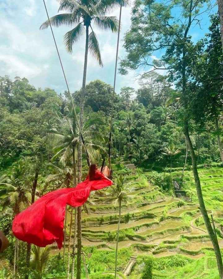 Bali ubud : monkey forest, waterfall , temple - Should You Book This Ubud Day Trip?