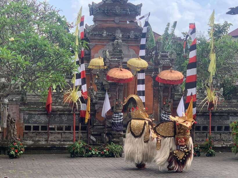 Bali Ubud : Private Full/ Half Day Tour, Optional Activities - Key Things I’d Prioritize Before Booking