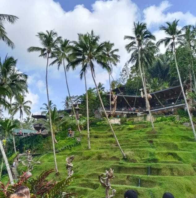 Bali Ubud : Private Full/ Half Day Tour, Optional Activities - Tegallalang Rice Terrace: Views That Still Feel Human