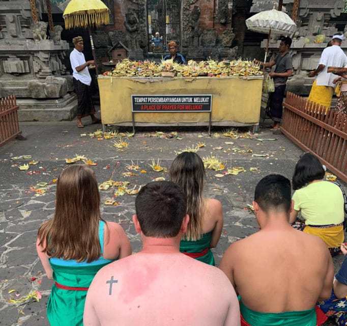 Bali Ubud : Private Full/ Half Day Tour, Optional Activities - Monkey Forest and Bali Swing: Fun Stops With Photo Pressure