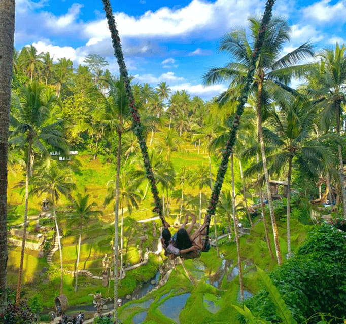 Bali Ubud : Private Full/ Half Day Tour, Optional Activities - Waterfalls Like Tegenungan and Tibumana: Pick One, Don’t Chase Them All